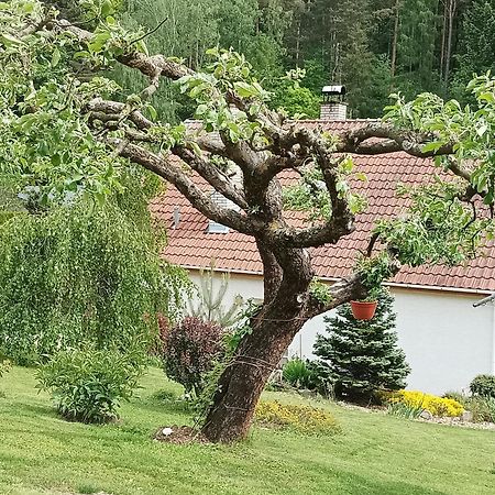 Ubytovani Iris Dolany  Eksteriør bilde