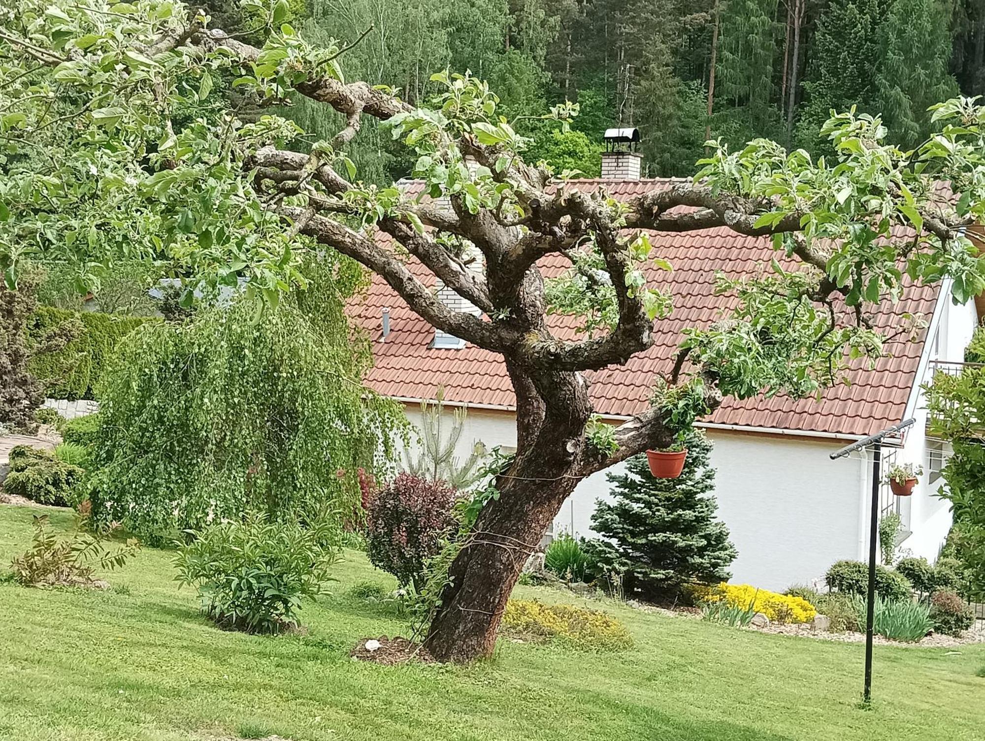 Ubytovani Iris Dolany  Eksteriør bilde